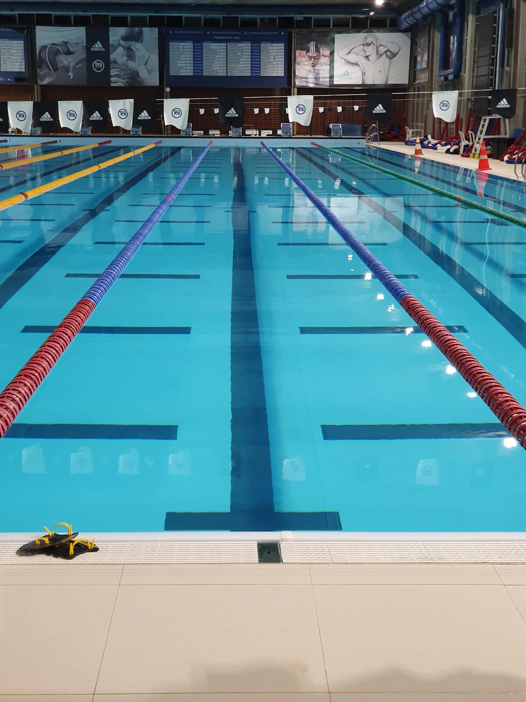 Understanding Swim Meets A Beginner's Guide
