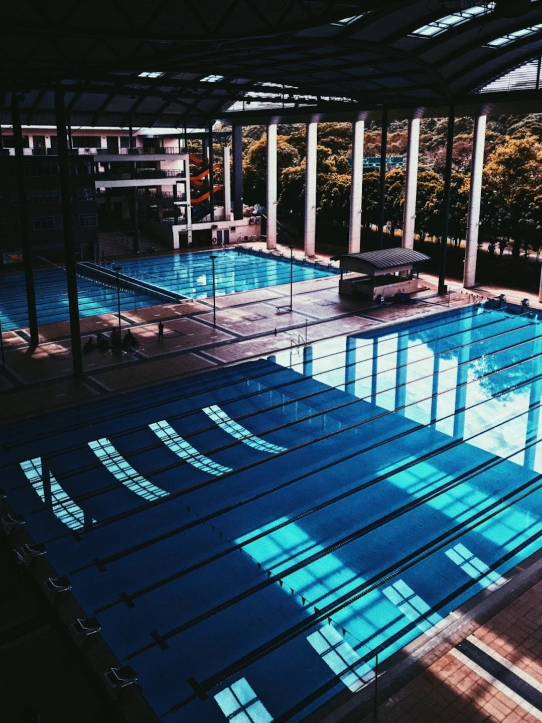 The Connection Between Swimming and Body Positivity